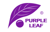 Purple Leaf