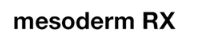 Mesoderm RX